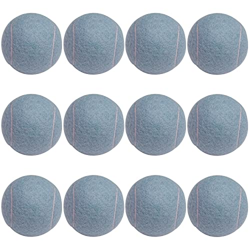 URBEST Tennis Ball 12 Packs Training Tennis Balls Practice Balls for Novice Player, Pet Dog Playing Balls with Mesh Carry Bag - color: Blue Violet