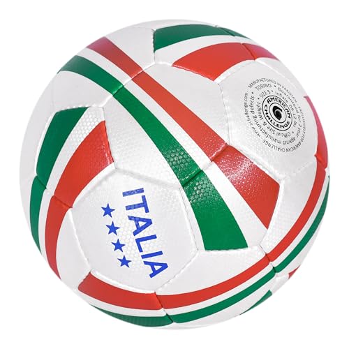 Torino Professional Training Soccer Ball – Hand Sewn Match & Practice Soccer Ball for Grass, Turf & Indoor Surfaces – Sizes 2, 3, 4 & 5