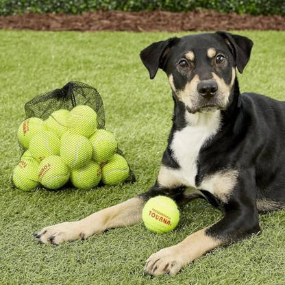 Tourna Mesh Carry Bag of 18 Tennis Balls - size: Each (Pack of 10)