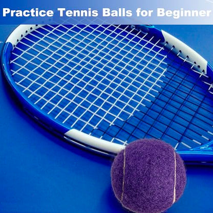 4 Pack Tennis Balls - Long Lasting Practice Balls for Tennis Beginners, Tennis Training Balls, Dog Fetch Toys - color: Purple