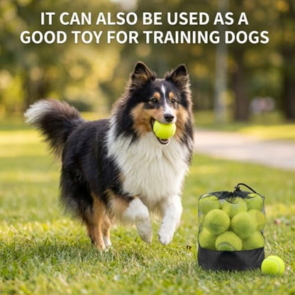 Tebery 20 Pack Advanced Training Tennis Balls, Practice Ball for Beginners with Mesh Bag, Pet Dog Playing Balls for Backyard Play, Exercise