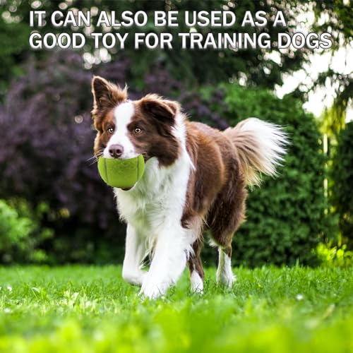 SHYUJAJIE Tennis Balls, 6 Pack Training Tennis Balls,High Elasticity Practice Balls for Beginner, Playing Balls for Dogs