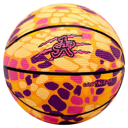 Official A Plus Basketball, Men/Women/Youth/Toddler. Rubber High Bounce Dinasaur Theme. Mini, Size 5, Size 6, & Size 7