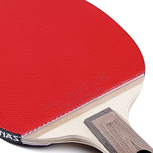 Dynasty Extra Penhold Table Tennis Racket & Case - ITTF Approved Palio Rubbers - Chinese Style Ping Pong Paddle