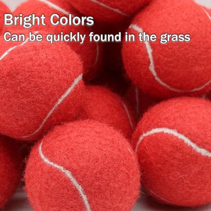 SHYUJAJIE Tennis Balls, 20 Pack Training Tennis Balls,High Elasticity Practice Tennis for Beginner, Exercise Playing Balls for Pet Dog - color: Red
