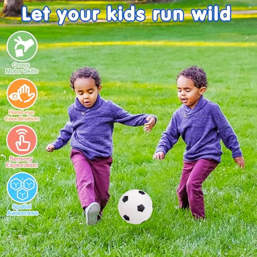 5 Pack Sports Balls for Toddlers 1-3 Outdoor Toys Football Soccer Basketball Baseball with Bag 1 2 Year Old Boy Toys Sport Bouncy Pool Balls Outside Playground Toddler 1-3 2-4 3-5 Birthday Boys Gifts