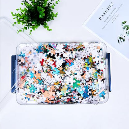 CATOOMUU Clear Portable Slim Project Case 9 X 13 Plastic Storage File Box For Letter A4 Paper Photo Documents Scrapbook, 3 Count - color: Small-Blue