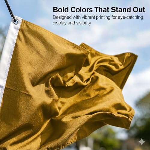 DMSE Solid Gold Flag, 2x3 Flag, UV Resistant, Fade Resistant Material with Metal Grommets (2ft x 3ft), (Nylon), (Gold) - color: Gold, size: Nylon (2 x 3 ft)