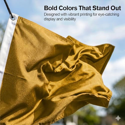 DMSE Solid Gold Flag, 3x5 Flag, UV Resistant, Fade Resistant Material with Metal Grommets (3ft x 5ft), (Nylon), (Gold) - color: Gold, size: Nylon (3 x 5 ft)