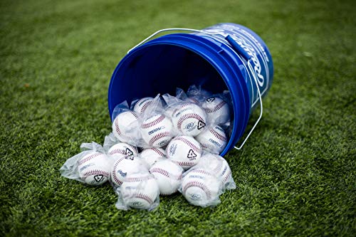 Rawlings | Ultimate Practice Baseballs | Youth/High School/College | Added Lifespan + Weather Resistant | Dozen & Bucket Options - color: White - Youth/Bucket of 30, size: Bucket of 30