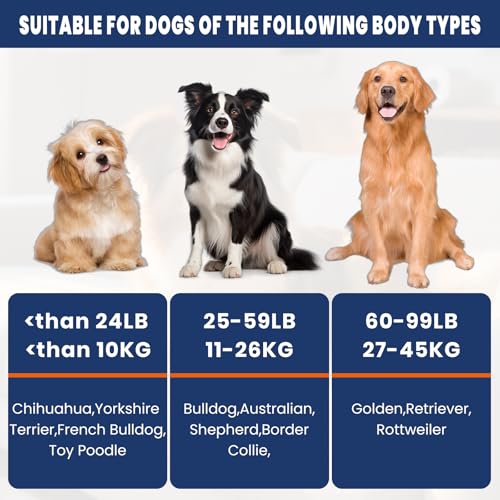FURWEY Tennis Balls for Dogs 32 Pack,2.5 inches,Durable and Non-Toxic Dog Toys Balls with Mesh Bag,Colorful Fetch Toys Balls for pet Dog (Non Squeaky)