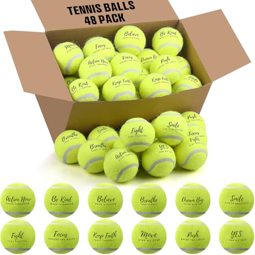 Soulchen 48 Pack Pressureless Tennis Balls Inspirational Training Tennis Balls Bulk Coach Beginner Practice Supplies Pet Dog Toys Indoor Outdoor
