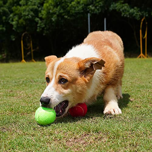 GKK 27 Pack Tennis Balls,Training Tennis Ball Pressure-Less Practising Bulk Tennis Balls for Youth/Beginners/Pet Dogs High Altitude Playing Balls - color: yellow