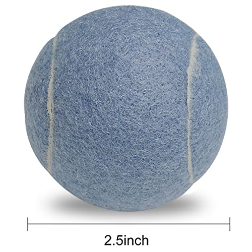 URBEST Tennis Ball 12 Packs Training Tennis Balls Practice Balls for Novice Player, Pet Dog Playing Balls with Mesh Carry Bag - color: Blue Violet