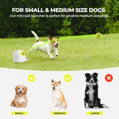 AFP Automatic Ball Launcher Dog Ball Thrower Machine Interactive Hyper Fetching Toy for Large Dogs, 3 Tennis Balls Included, Max Version - size: Mini Size