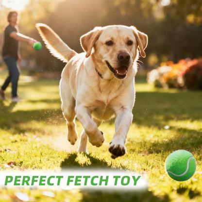 PoyPet 16-Pack Tennis Balls Bulk for Practice,Training and Beginners | Ideal for Dog Fetch,Chew and Play - color: Green