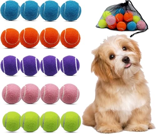 Magicorange Small Tennis Balls, 20 Pack 2 inch Tennis Balls for Dogs, Colorful Easy Catching Pet Dog Playing Ball with Mesh Bag for Easy Transport(Multicolor,20 Pack)