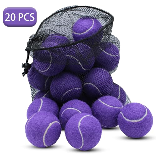 SHYUJAJIE Tennis Balls, 20 Pack Training Tennis Balls,High Elasticity Practice Tennis for Beginner, Exercise Playing Balls for Pet Dog - color: Purple