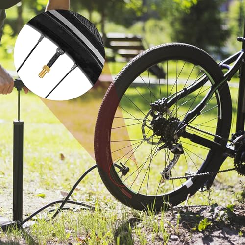 Quacc 4 PCS Ball Pump Needle Set Needles Inflating Ball Tyre Pump Adapter Bike Pump Accessories Air Nozzle Pump Adapters Tire Pump Attachments for Inflatables, Sport Balls, Bicycles