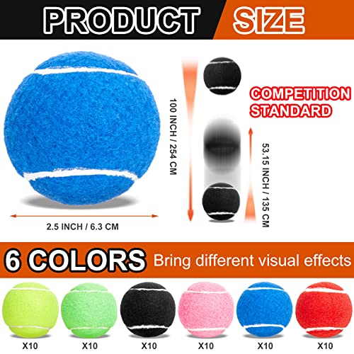 Sumind 60 Pcs Tennis Balls Bulk Standard Tennis Training Ball Tennis Practice Balls PET Dog Playing Balls Tennis Accessories for Beginner Practice Training Sports, 6 Colors