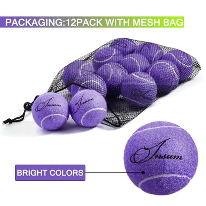 INSUM Bulk Tennis Balls for Beginner – 12 Pack High Elasticity Practice Tennis Balls with Mesh Bag, Suit for Pet Dog Training, Fetching - color: Purple