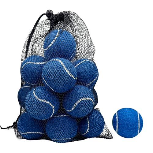 12 Pack Tennis Balls – Practice Balls for Beginners & Training Balls for Dogs, Includes Mesh Bag for Easy Transport - color: Navy