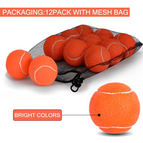 INSUM Bulk Tennis Balls for Beginner – 12 Pack High Elasticity Practice Tennis Balls with Mesh Bag, Suit for Pet Dog Training, Fetching - color: Orange-N