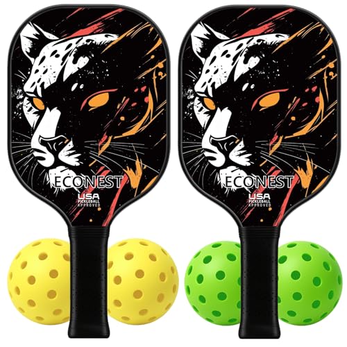 Pickleball Paddles Set of 2 with 4 Balls – High-Performance Fiberglass Face for Precision, Comfortable Grip & Easy Control – Ideal for Beginners & Intermediates – USAPA Approved