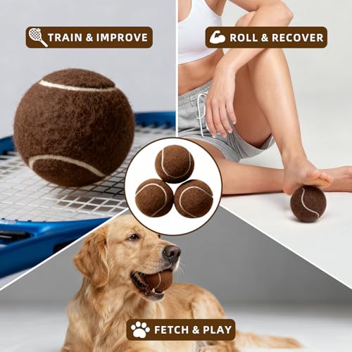 PoyPet 16-Pack Tennis Balls Bulk for Practice,Training and Beginners | Ideal for Dog Fetch,Chew and Play - color: Brown