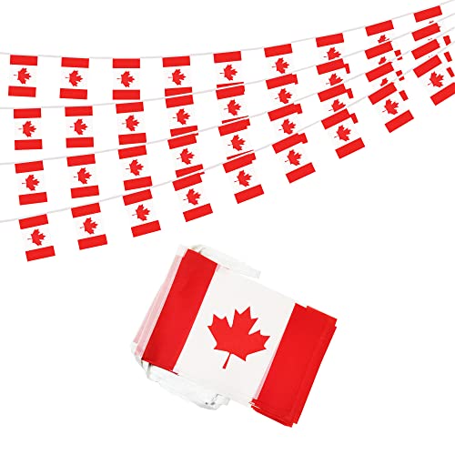 50 Feet Canada Banner Flag String, Canadian Mini Flag Small Banner, for Party, Shops and Bars Decorations, Outdoor Decorations, 38 Flags - color: Canada