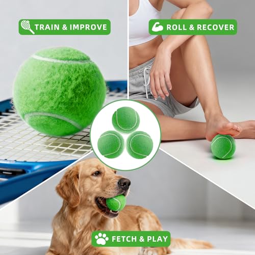 PoyPet 16-Pack Tennis Balls Bulk for Practice,Training and Beginners | Ideal for Dog Fetch,Chew and Play - color: Green