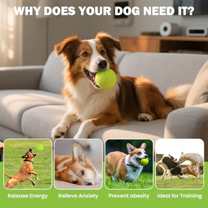 FURWEY Tennis Balls, 12/24/36/80 Pack Bulk Tennis Balls Pressureless Tennis Ball, Come with Mesh Bag for Easy Transport,Pet Dog Playing Balls, Good for Beginner Training Ball - size: 36P