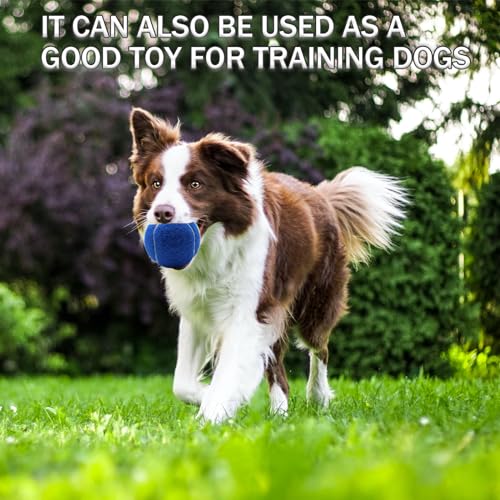 SHYUJAJIE Tennis Balls, 6 Pack Training Tennis Balls,High Elasticity Practice Balls for Beginner, Playing Balls for Dogs - color: Dark Blue