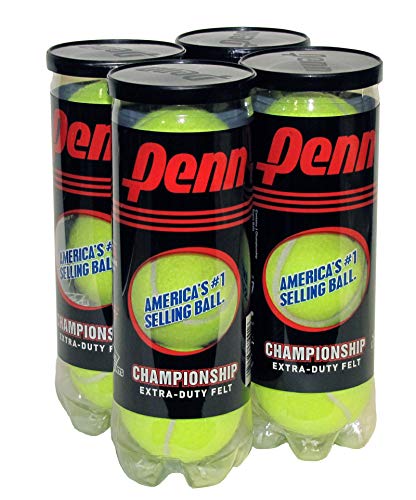 HEAD Speed Kids Tennis Racquet (23 Inch) and Penn Championship Tennis Balls (Extra Duty Felt) Bundle