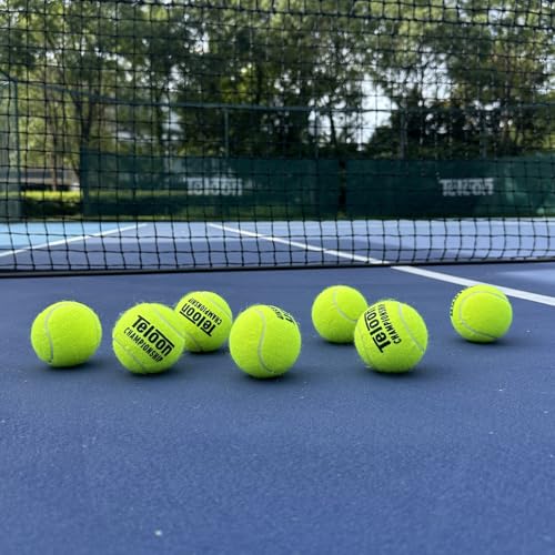 Teloon Championship Tennis Balls - Extra Duty - Regular Duty Felt Pressurized Tennis Balls - color: Extra 24 Can , 72 Balls