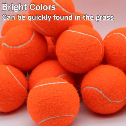 SHYUJAJIE Tennis Balls, 20 Pack Training Tennis Balls,High Elasticity Practice Tennis for Beginner, Exercise Playing Balls for Pet Dog - color: Orange