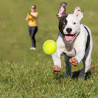 Pet Ball for Dog Small 2inch Pet Toy Tennis Balls for Pet Puppy Tiny Small Dogs Fetching Exercise & Training (16 Pack)