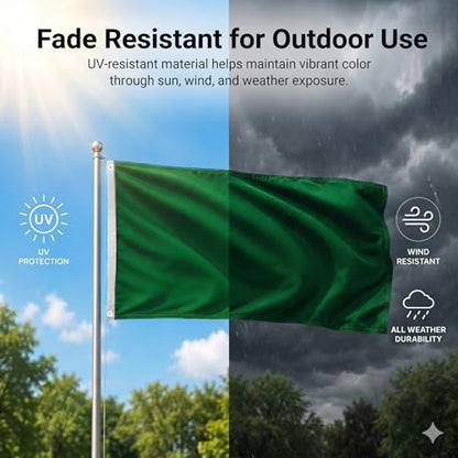 DMSE Solid Green Flag, 2x3 Flag, UV Resistant, Fade Resistant Material with Metal Grommets (2ft x 3ft), (Polyester), (Green) - color: Green, size: Polyester (2 x 3 ft)