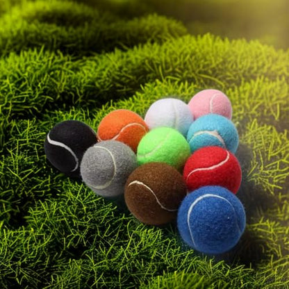 6 PCS Training Tennis Balls, High Elasticity Practice Tennis for Beginner, Exercise Playing Balls Felt Training Toys for Pet Dog (Beige)