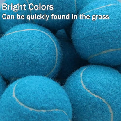 SHYUJAJIE Tennis Balls, 20 Pack Training Tennis Balls,High Elasticity Practice Tennis for Beginner, Exercise Playing Balls for Pet Dog - color: Light Blue