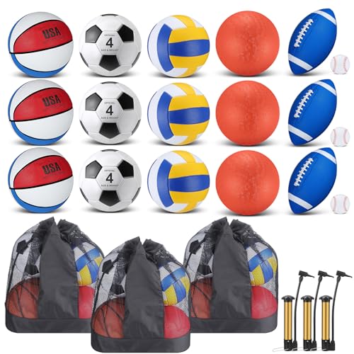 Leyndo 18 Pcs Sports Ball Set for Kids, Official Size Basketball Football Soccer Ball Playground Volleyball Baseball Outdoor Sport Equipment Bag and Pump Back to School Gift - color: Blue, White, Red