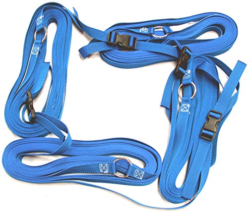 Home Court 1-inch Adjustable 30-ft Sand Court Line - 17AS - color: Blue