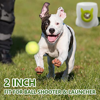 Pet Ball for Dog Small 2inch Pet Toy Tennis Balls for Pet Puppy Tiny Small Dogs Fetching Exercise & Training (16 Pack)