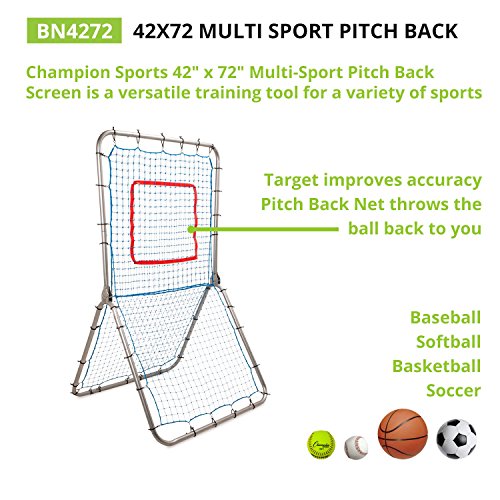Champion Sports Pitchback Net & Rebounder – Baseball & Softball Multi-Sport Training Screen with Strike Zone Target - style: Multisport Pitchback Screen
