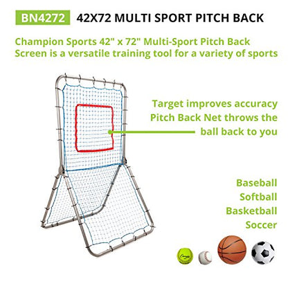 Champion Sports Pitchback Net & Rebounder – Baseball & Softball Multi-Sport Training Screen with Strike Zone Target - style: Multisport Pitchback Screen