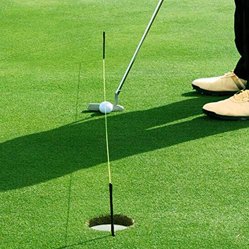 Health Gear Alignment Stick Solid Fiberglass Alignment Swing Putting String Peg Stick, 10.24inch Alignment Swing Direction Practice Training Stick with 9.84ft String