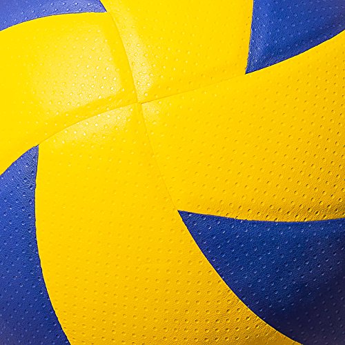 FORZA Volleyballs - Competition & Training Volleyball - FIVB Standard Volleyball - [Net World Sports] - color: Competition