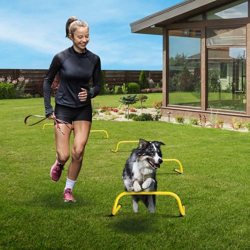 Yes4All Agility Speed Training Agility Hurdles for Athletes - 5 Pack - Speed and Agility Training Equipment for Soccer Basketball Football Hurdle Training - color: E. Set 5 Hurdles Yellow