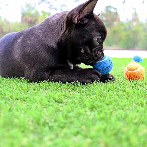 Midlee X-Small Dog Tennis Balls 1.5" Pack of 12 (Solid, 1.5 inch) - color: Multicolored