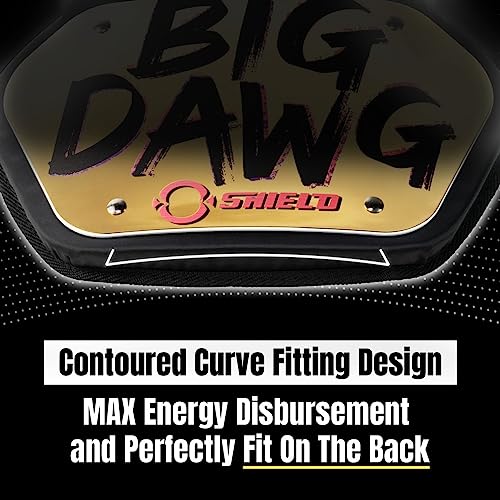 O Shield Golden Cross Chrome Football Back Plate, Lower Back Pads for Football Players, Rear Protector, Cross Series - size: Adult (Weight more than 180 Pounds), style: Big Dawg